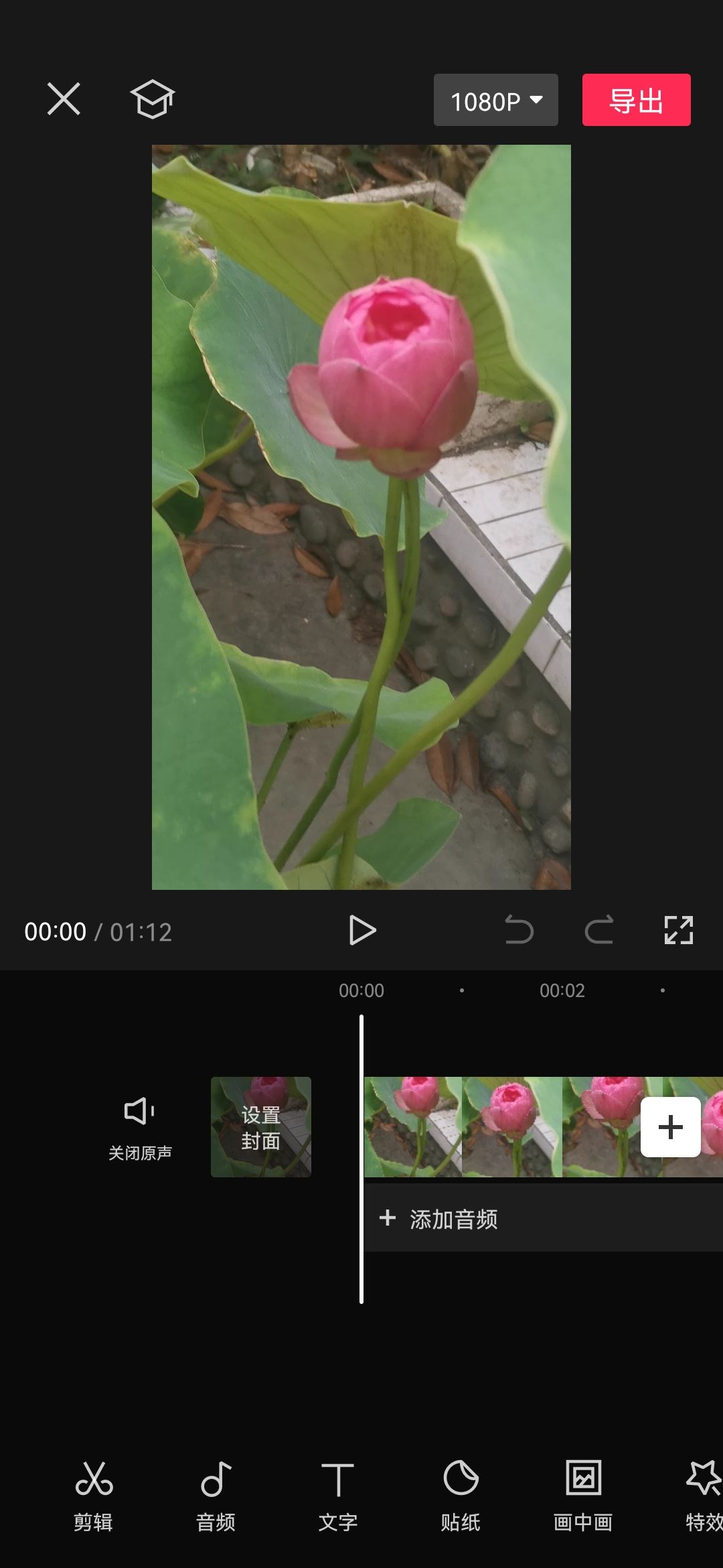 抖音字幕黃底黑字怎么弄？